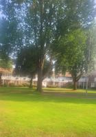 featured image of 5A 5 A Hemlock Drive unit: 96 #96