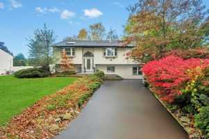 featured image of 29 Dillon Dr