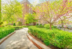 featured image of 6640 108th St Apt 1d #1D