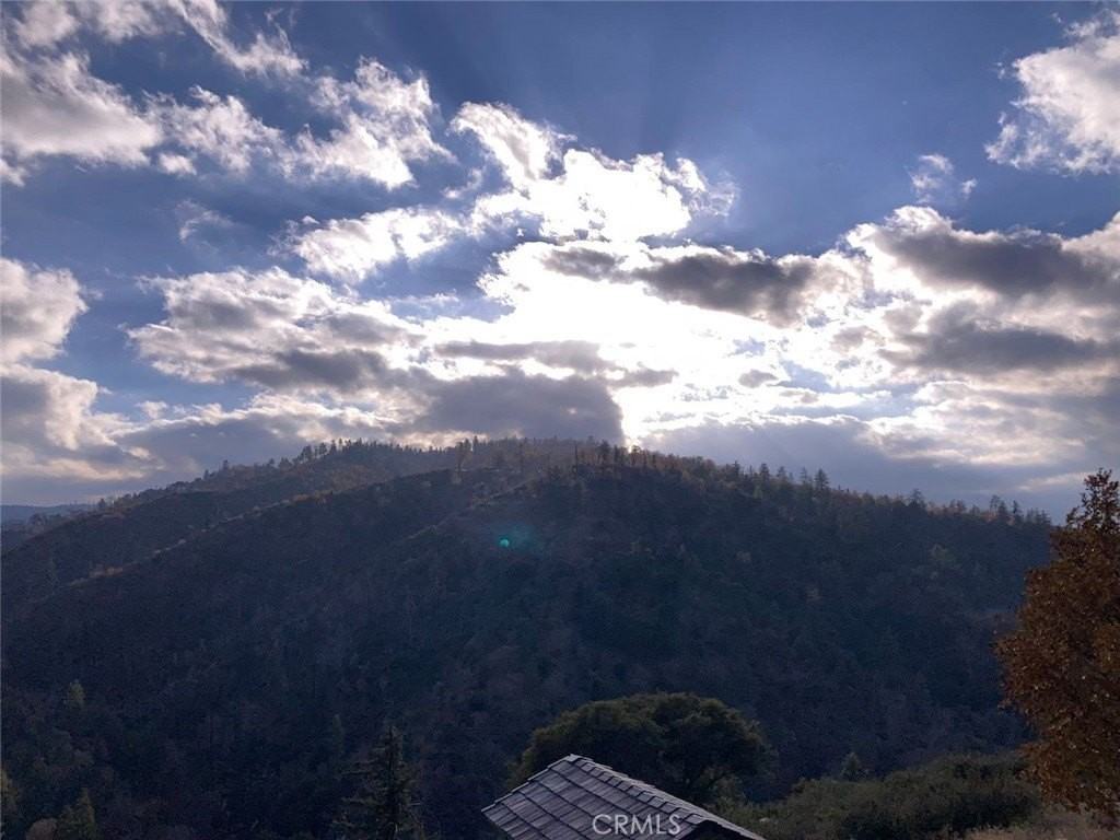 1620 Edge Cliff Dr - Photo 4 of 39