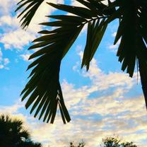 6078 Dusenburg Rd - Photo 1 of 1