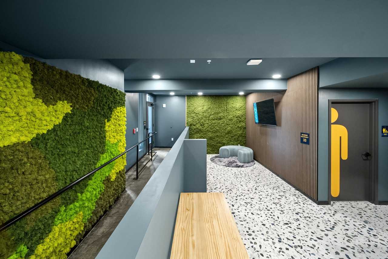 The Hive Apartments - Photo 6 of 39