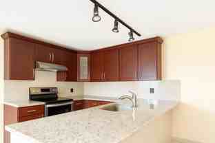 728 Mill Valley Place - Photo 1 of 1