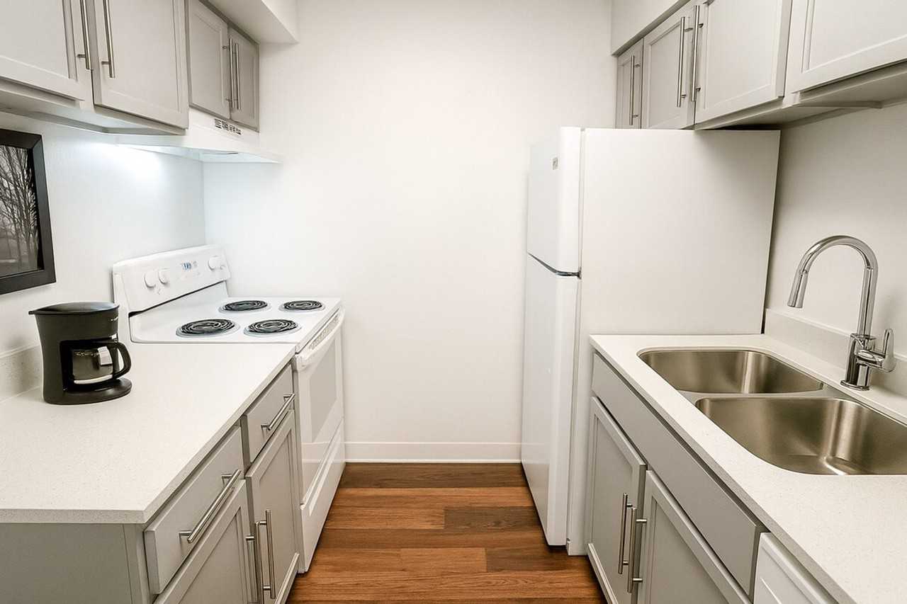 1040 Clayton Ln #1335308P - Photo 4 of 20