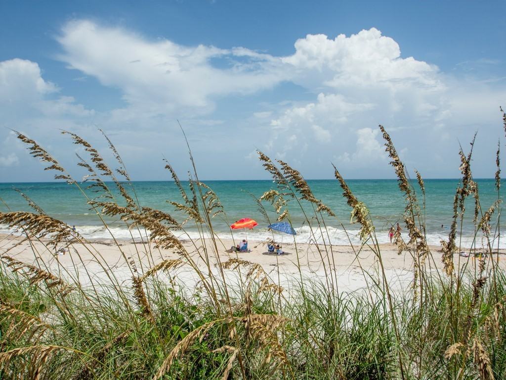 4601 Jimmy Buffett Mem Highway #4601-403 - Photo 6 of 36