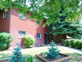 1925 E Mary Dott Way - Photo 1 of 1