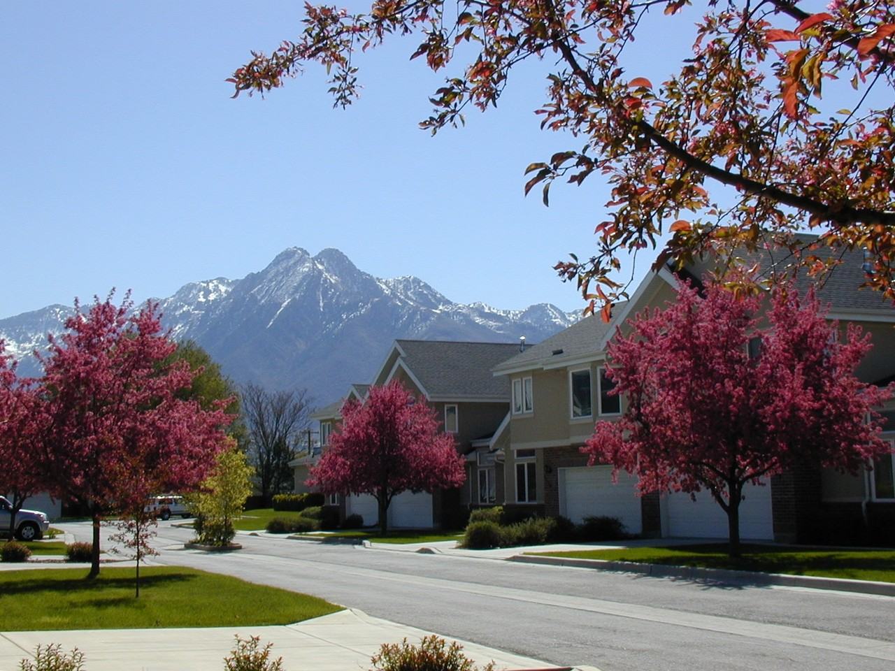 4477 South Hampton Crest Cove - Photo 2 of 14