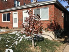 Clayton Ave (6521-23) - Photo 1 of 1