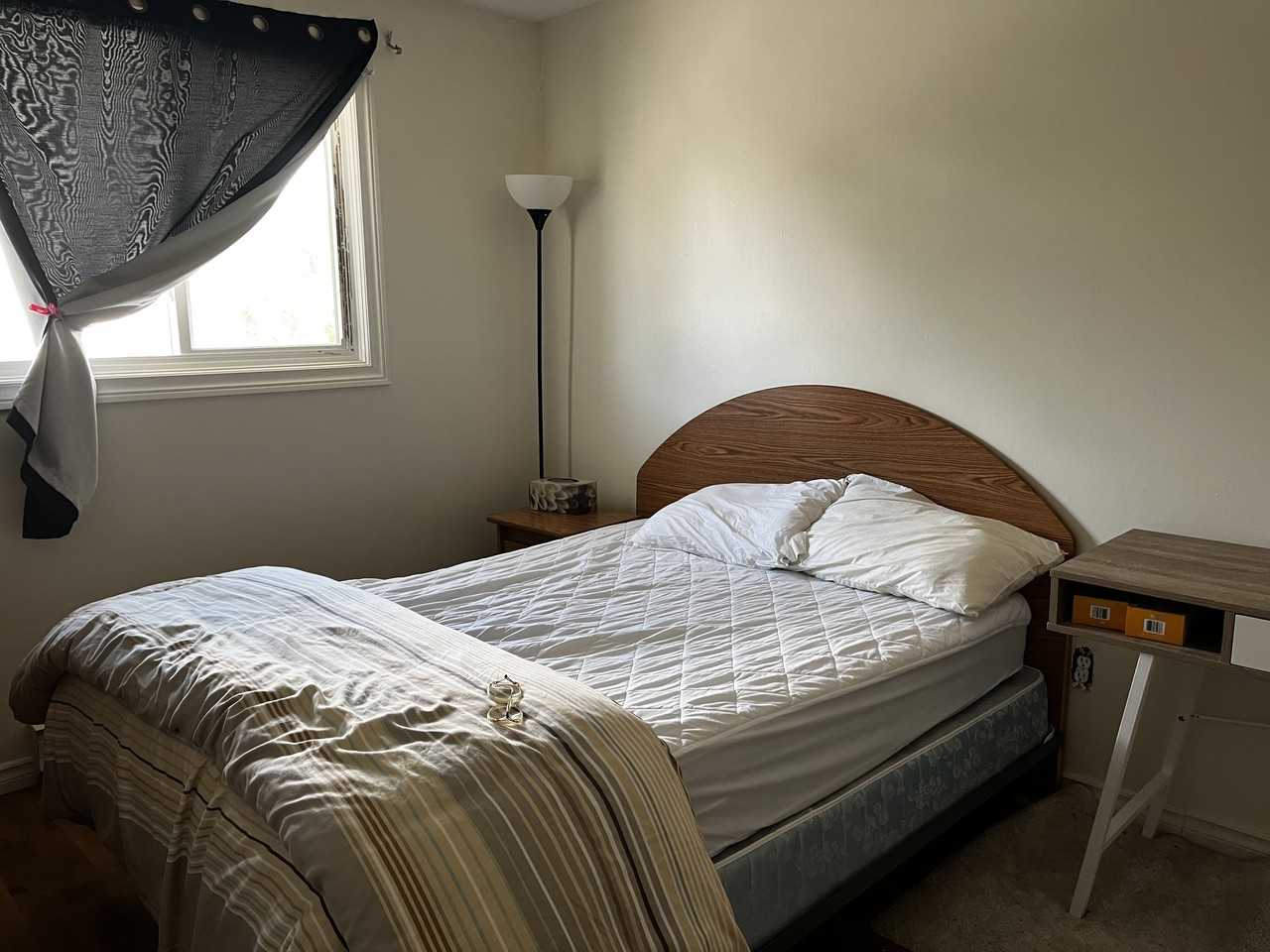 Plumrose Pathway & Empringham Dr - Photo 3 of 14