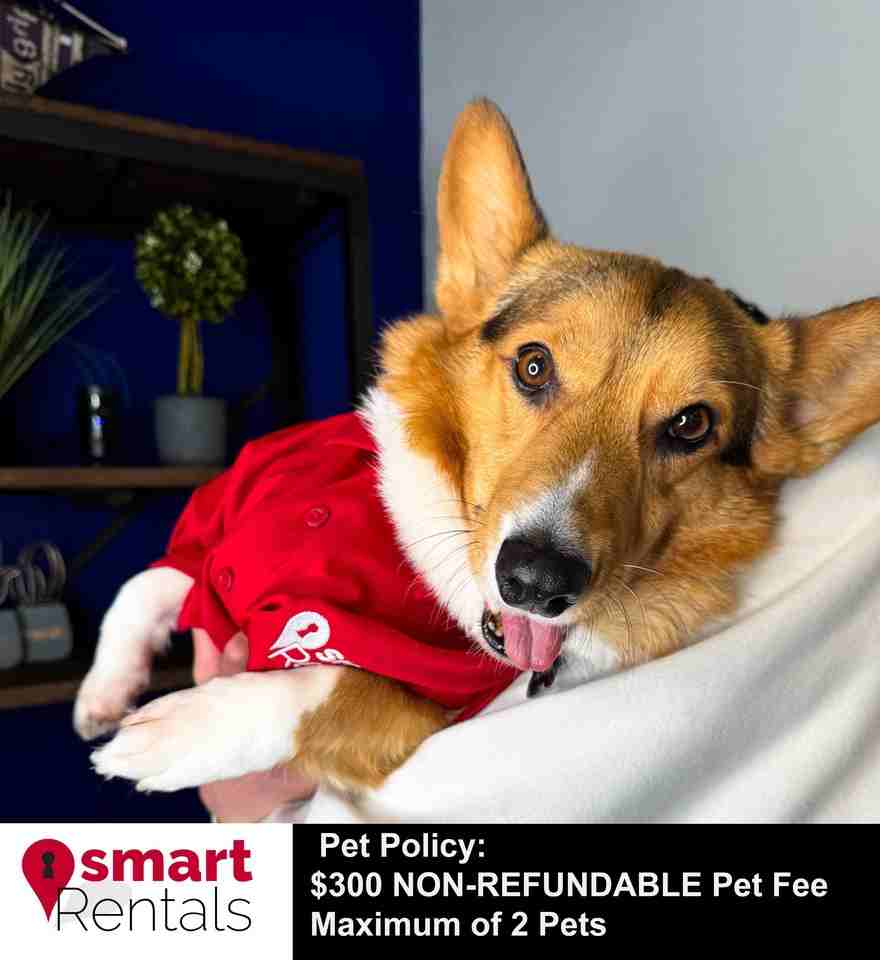 491 S Holmes - Photo 3 of 9