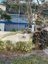 1530 Se Royal Green Cir #207 - Photo 1 of 1