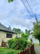 Garden Place Cottages - Photo 1 of 1