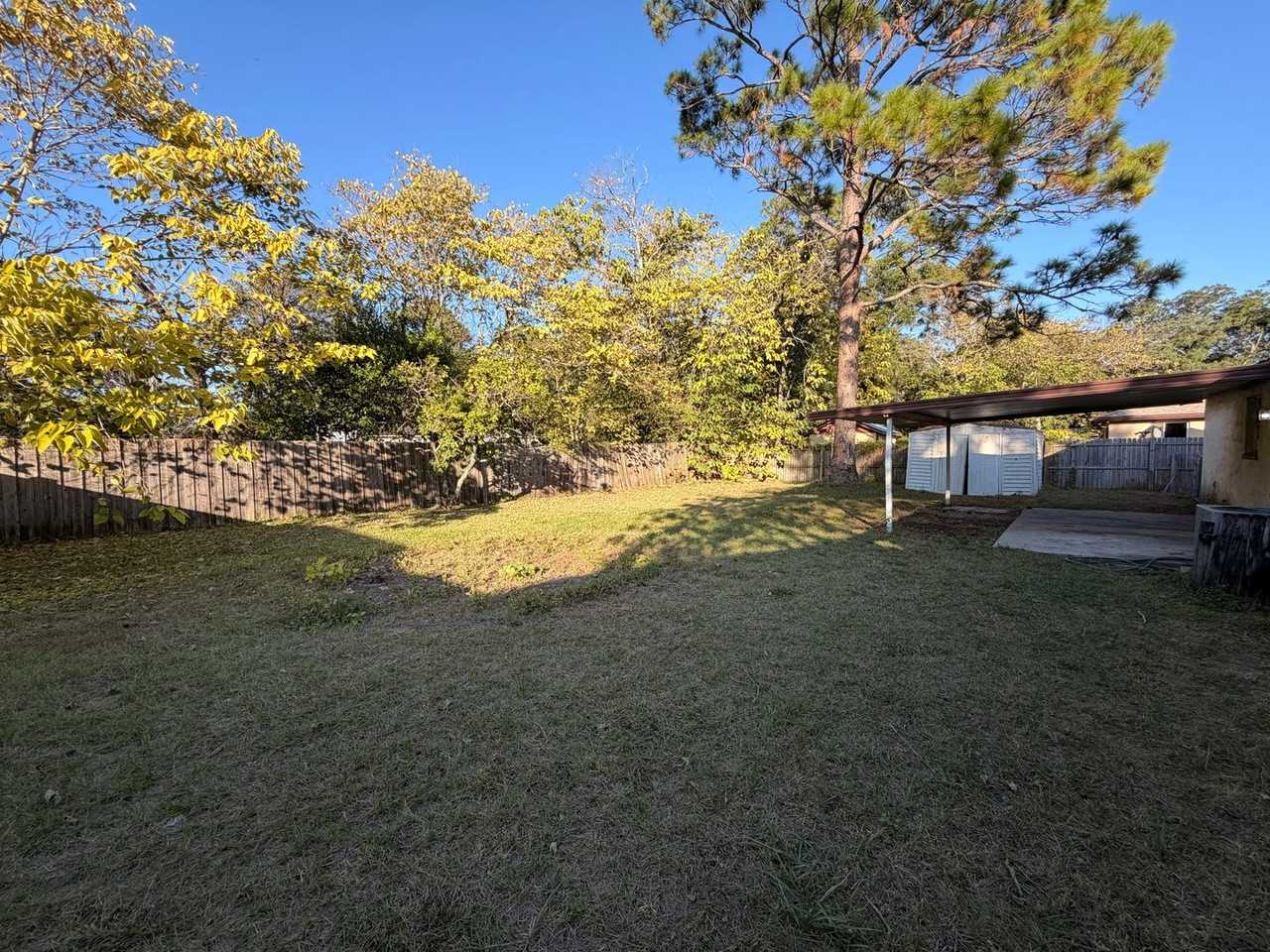 7045 Prellie St - Photo 7 of 13