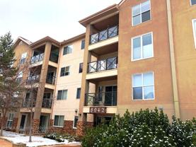 8942 156 Street Northwest - Photo 1 of 1