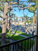 Brookstone - Photo 1 of 1