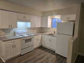 638van - Photo 1 of 1