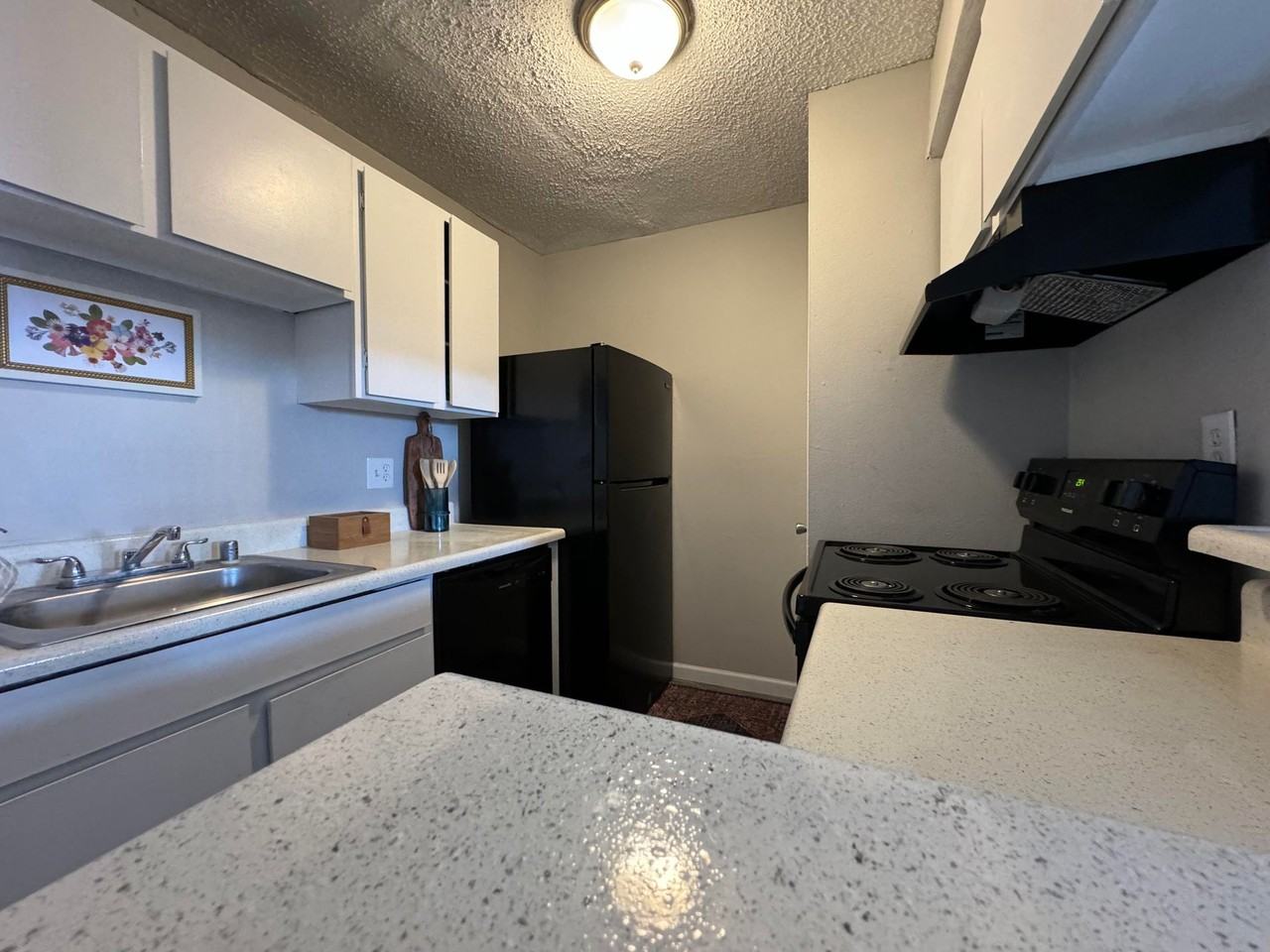 Birchwood Apartments - Photo 7 of 50