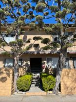 721 Cordova St #9 - Photo 1 of 1