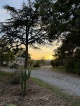 1210 Woodland Ave - Photo 1 of 1