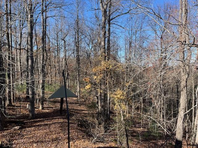 1208 Kanuga Ridge Road - Photo 3 of 18