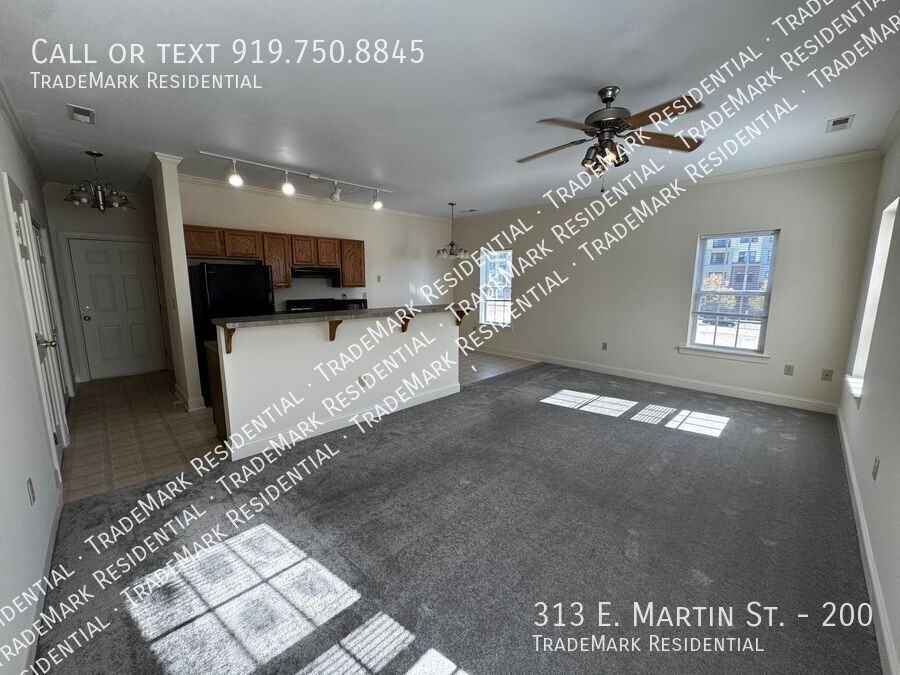 313 E Martin St #200 - Photo 3 of 16