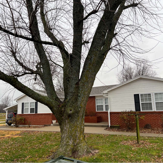 220 SW Missouri 13 - Photo 3 of 28