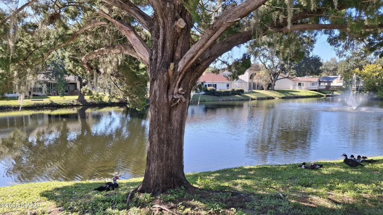 804 Deer Springs Rd - Photo 6 of 50