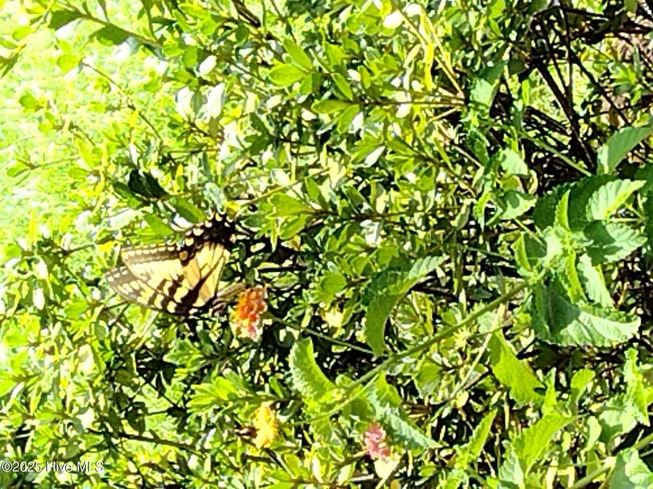 509 509 Mill Street - Photo 5 of 39