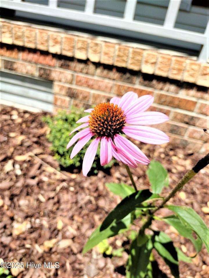 509 509 Mill Street - Photo 6 of 39