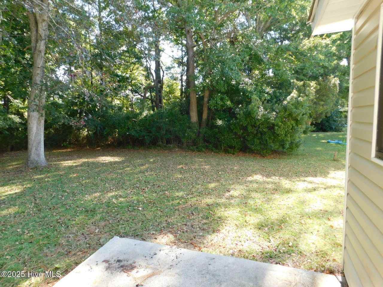 204 Cedar Ridge Lane - Photo 3 of 18