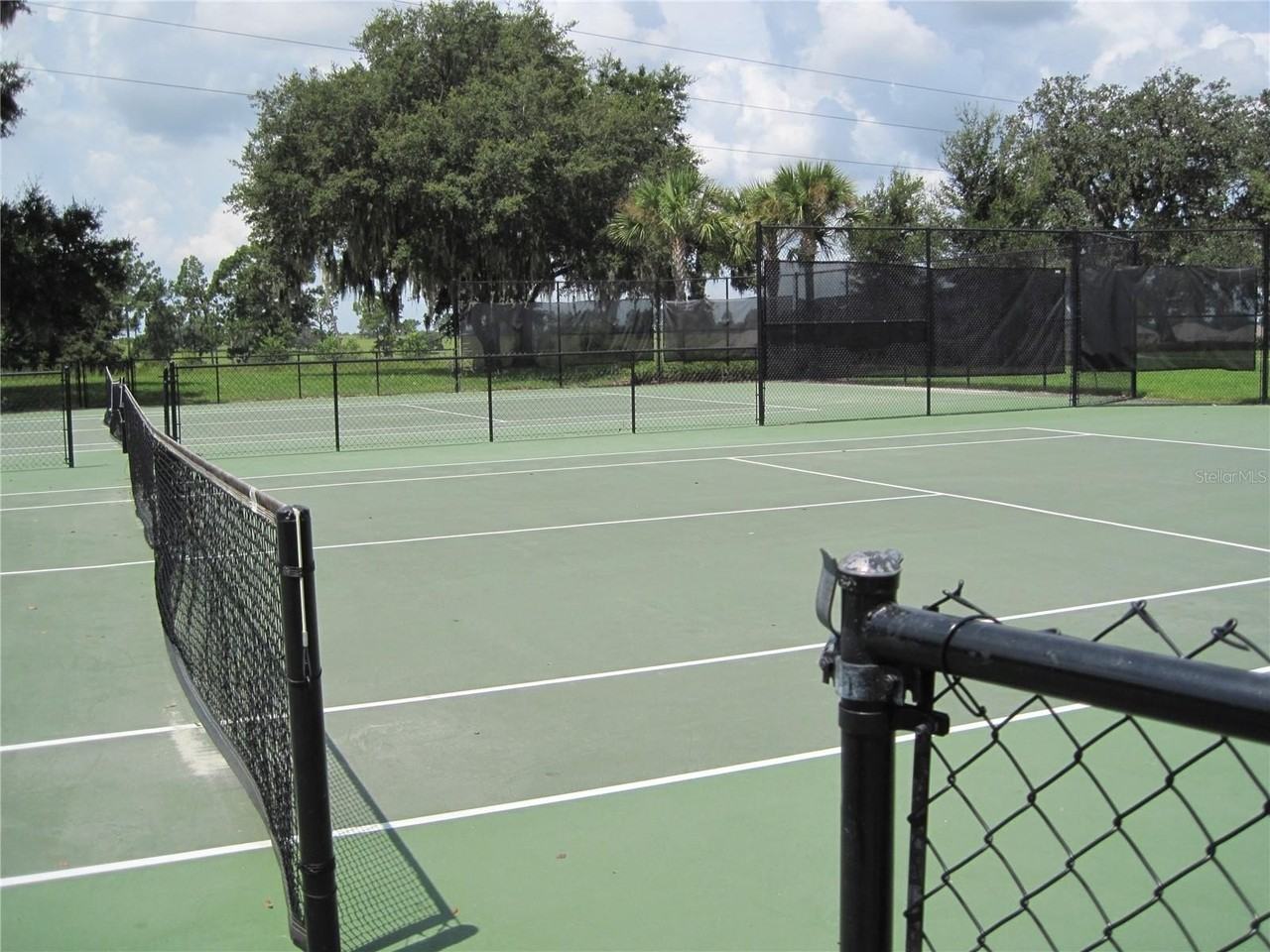 33614 Campeon Ct - Photo 7 of 14