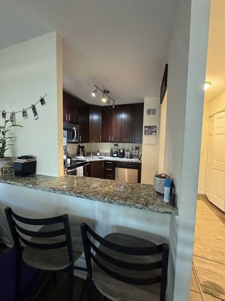 1255 North Sandburg Terrace #305 - Photo 4 of 16