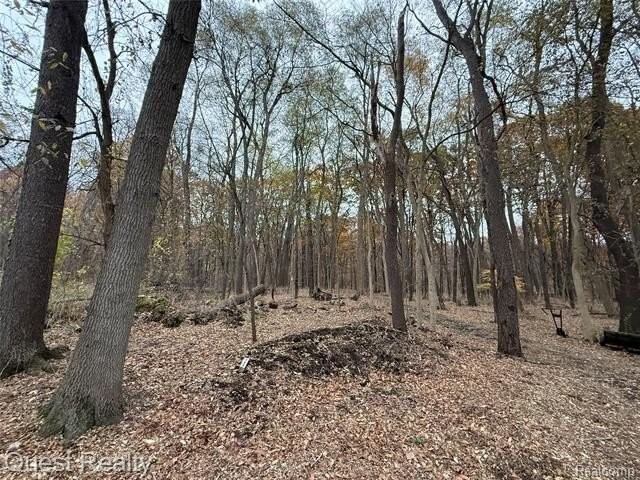 8030 Reese Rd - Photo 5 of 18