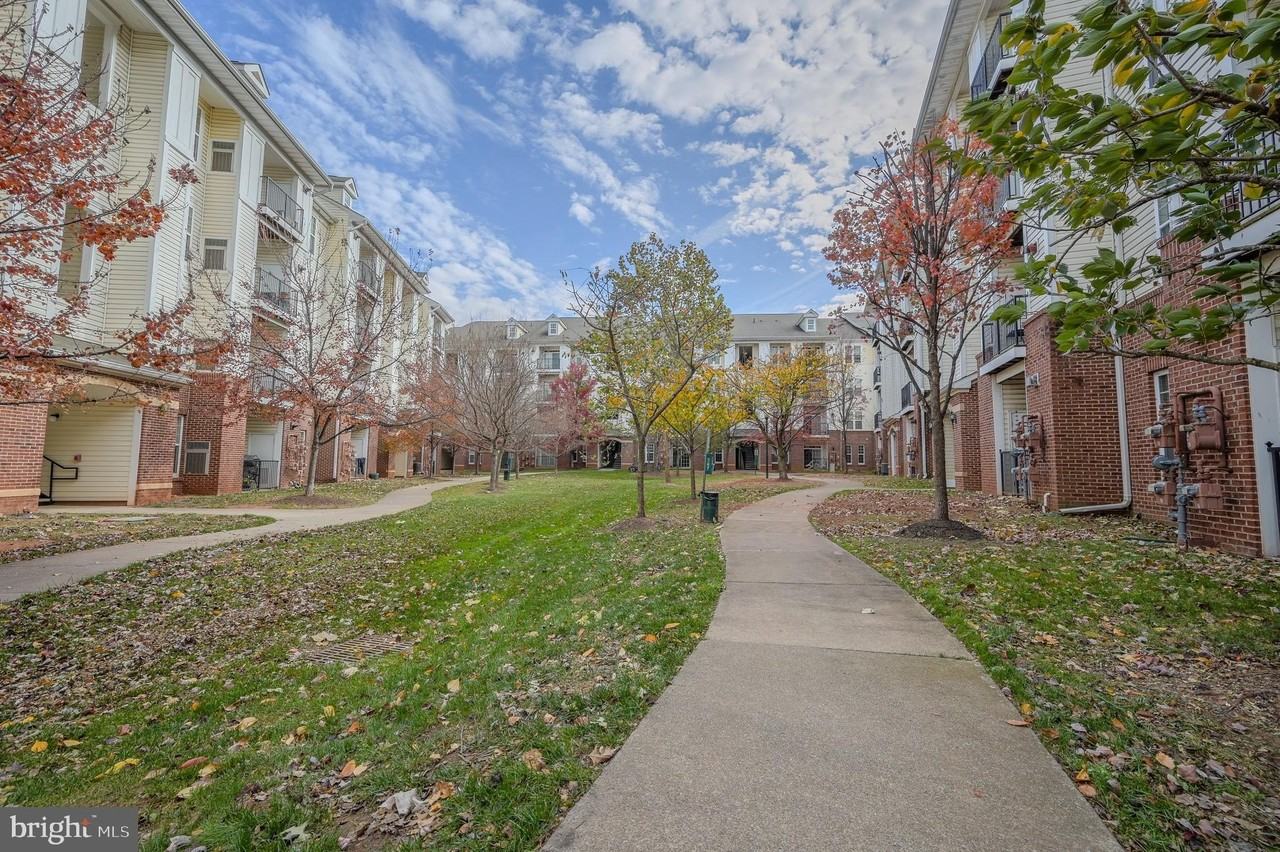 21216 Mcfadden Square #206 - Photo 2 of 11