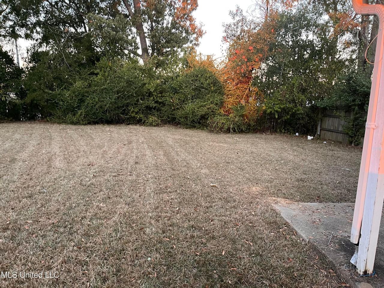 1301 Jamestown Way - Photo 6 of 21