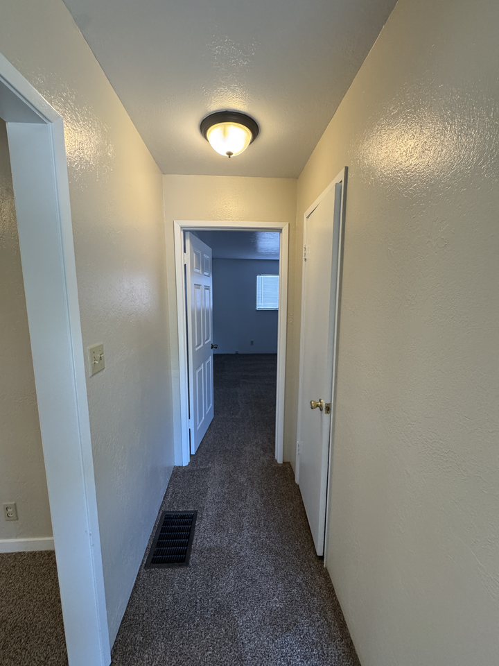 11 Atlee Street - Photo 7 of 18