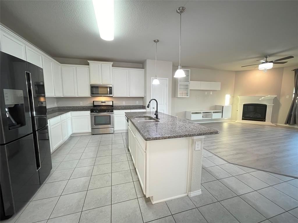 1724 Lone Lynx Way - Photo 2 of 32