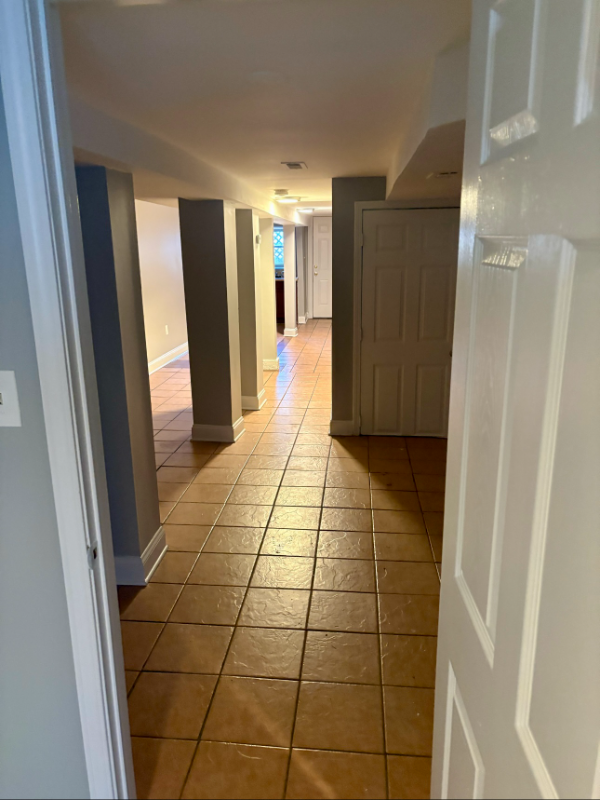 7249 S Ridgeland Ave #G - Photo 7 of 12