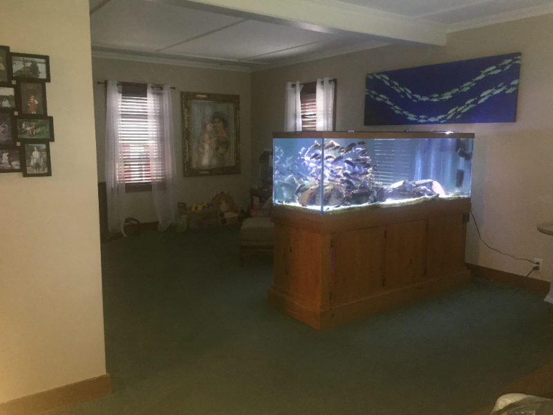 4950 Elm St - Photo 6 of 20