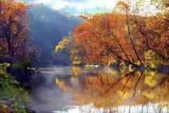 70 Timbercrest Drive - Photo 1 of 1