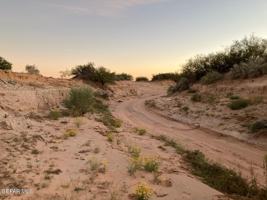 featured image of Redwood St