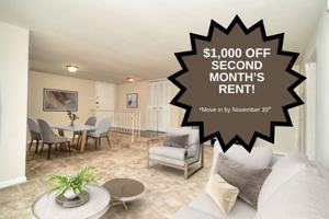 featured image of 3613 Silver Park Dr