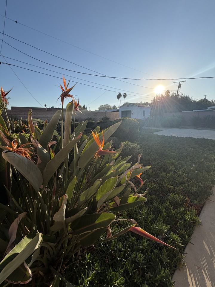 20622 Archwood Street - Photo 3 of 21