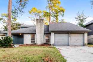 4310 Shalom Creek Lane - Photo 1 of 1