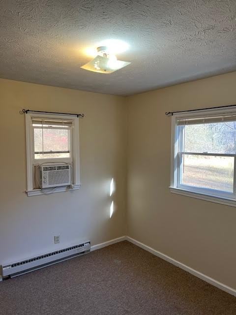 227 Crab Creek Road - Photo 6 of 12