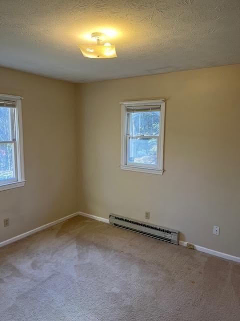 227 Crab Creek Road - Photo 7 of 12