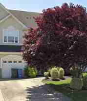 173 Westbrook Dr #NA - Photo 1 of 1