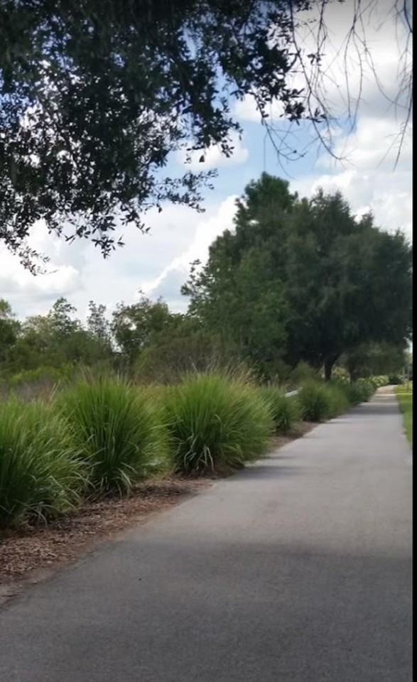 Branchside Ln - Photo 4 of 10