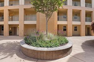 featured image of 1390 Saddle Rack Street