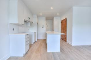 2645 Boulevard Pie-IX #3 - Photo 1 of 1